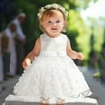 Tween Girls Dresses Toddler Sleeveless Butterfly Embroidery Tulle