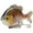 Pink Bluegill, variant on Bassdash SwimPanfish Multi Jointed Panfish Bluegill Swimbaits Hard Topwater Bass Lures Fishing Lure Crank Saltwater 3.5in/0.85oz