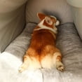 thumbnail image 4 of Warm Winter Cat Dog Bed Mat Deep Sleep Tent Cozy Geometric House Nest Removable Washable for Medium Large Dogs Pet Supplies ShopWise Round, 4 of 9