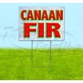 thumbnail image 1 of Canaan Fir (18" x 24") Yard Sign, Includes Metal Step Stake, 1 of 6