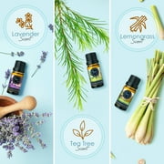 Set of 6 Premium Scented Fragrance Oil for Candle Making, Soap Making, Incense, Potpourri & Aroma Diffuser - Lemongrass, Peppermint, Orange, Lavender, Eucalyptus, Tea Tree Scents, 10ml Bottles