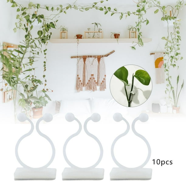 10x Clip de pared de escalada de plantas Vines Tracción Soporte invisible Fijador de plantas Clips de fijación de pared de escalada para decoraciones , S