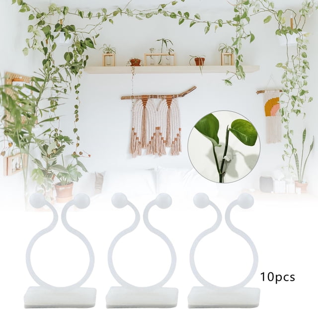 10x Clip de pared de escalada de plantas Vines Tracción Soporte invisible Fijador de plantas Clips de fijación de pared de escalada para decoraciones , S