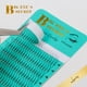 thumbnail image 1 of Big eye's secret Luxury Lash Volume 2D/3D/4D/5D Pestañas de tallo largo Premade Fans Silk False Mink Extensión de pestañas individuales Tan Jianjun unisex, 1 of 1
