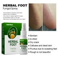 2 PACK Fungi Nail AntiFungal Foot Spray, Kills Fungus That Can Lead to