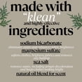 thumbnail image 5 of Laundry Detergent Powder | Non-Toxic Laundry Detergent for Sensitive Skin | Easy To Use, Tough on Stains, Gentle on Fabrics | Botanical Laundry Powder (Blue Hon) | Natural (Fruity and Floral), 5 of 5
