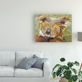 thumbnail image 3 of Trademark Fine Art 'Koala Collage II' Canvas Art by Elizabeth St. Hilaire, 3 of 4