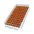 thumbnail image 1 of tredstone Artificial DIY Miniature Flower Cluster Model for Decoration Orange, 1 of 9