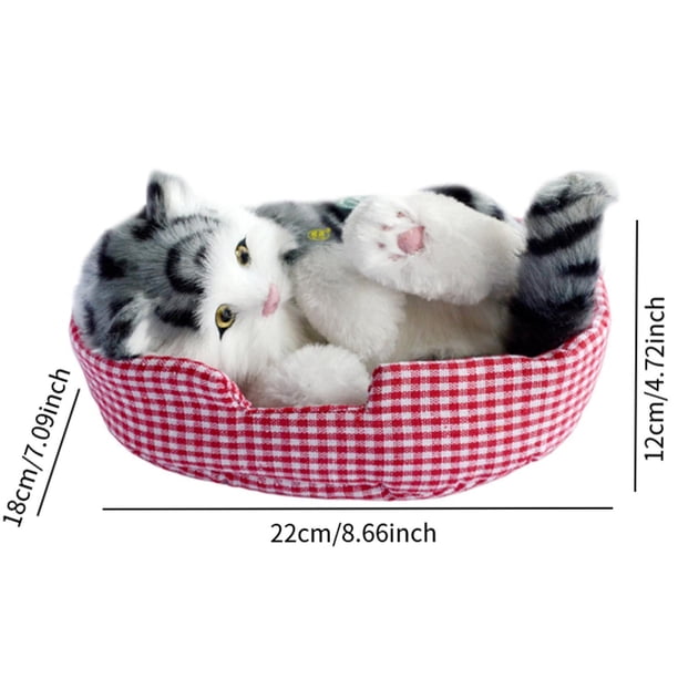 G.C 9 Gatitos De Peluche Mini En Caja Sorpresa – Llaveros Adorables Y Sorpresa Para Niños Y Amantes De Los Gatos