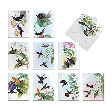 M9687OCB HUMMING ALONG' 10 Assorted All Occasions Greeting Cards with Envelopes by The Best Card (Best E Greeting Cards)