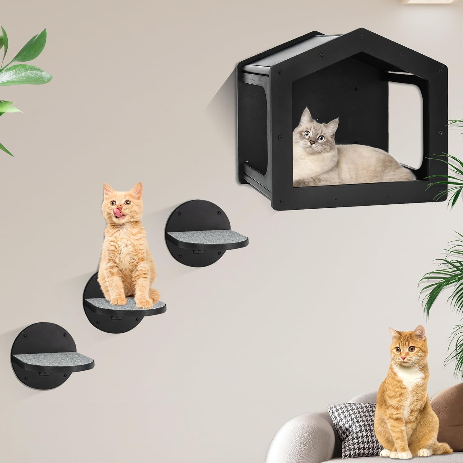 MYZOO Avenue 23.5 in. Black Wall-mounted Cat Walkway