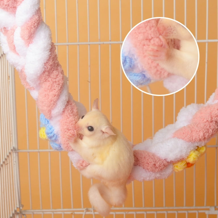 Hamster climbing and biting cage 2025