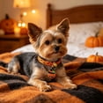 thumbnail image 5 of Halloween Cat Collar with Bell Pendant Breakaway Accessory Holiday, 5 of 6