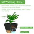 thumbnail image 6 of FIASON 2 Pack 8 Inch Black Gray Self Watering Hanging Planters, Indoor Outdoor Plastic Flower Pots with Visual Reservoir, Drainage Holes & Chain Hanger for Home Garden Decor, 6 of 12