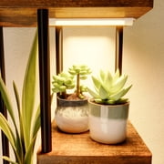 Bamworld Tall Plant Stand Indoor 7 Tier Metal Plant Shelf With plant lights Black Plant Holder Large Plant Rack for Mutiple Plants Pots for Patio Garden Corner Balcony Living Room
