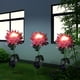 thumbnail image 2 of Lampara 2 uds LED luz Solar crisantemo césped estaca lámparas decoración de jardín (rosa) Likrtyny Lámpara, 2 of 9