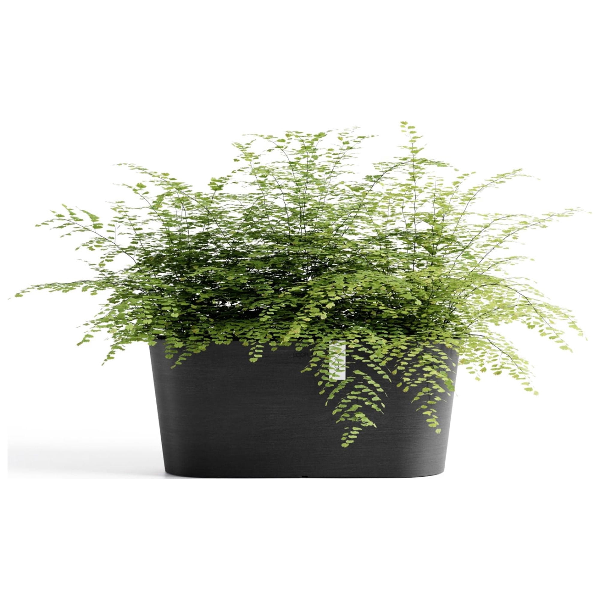 Ecopots Sofia Durable Modern Oval Indoor/Outdoor Recycled Based Composite Flower Pot Planter w/ Water Reservoir, Dark Grey, 16"