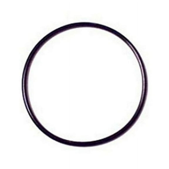 flowpur/ watts or-4 rv trailer camper fresh water interior in line microbiological o ring (1)