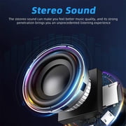 3000W Vtin Wireless Portable Party Bluetooth Speaker Subwoofer with Mic & Remote Heavy Bass USB Rechargeable Speaker