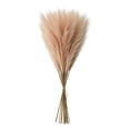 thumbnail image 6 of Dried Pampas Grass Decor, 22 Inch Faux Pampas Grass Stems, Elegant Home Decor for Living Room & Wedding Party Decoration, Aesthetic Pampas Grass Bouquet 10 Pack, 6 of 6