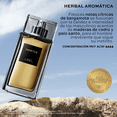 thumbnail image 3 of Perfume Masculino Ímpetus de L’Bel – 100 ml, Alta Concentración y Larga Duración, 3 of 4