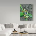 thumbnail image 3 of Trademark Fine Art 'Freddie The Frog' Canvas Art by Amy Frank, 3 of 3