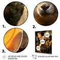 thumbnail image 3 of Designart "Portrait of a Cute Kangaroo I" Animals Floater Framed Wall Art Living Room, 3 of 7