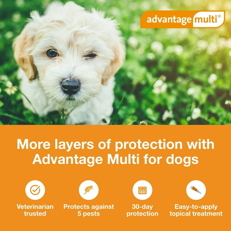 Advantage Multi Topical Solution for Dogs 3 9 lbs Green Box Walmart