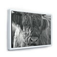thumbnail image 3 of Designart 'Close Up Scottish Highland Cows Living On Moorland' Farmhouse Framed Canvas Wall Art Print, 3 of 5