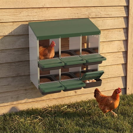 Green Chicken Nesting Box 6-Hole Roll Away Egg Laying Galvanized Steel
