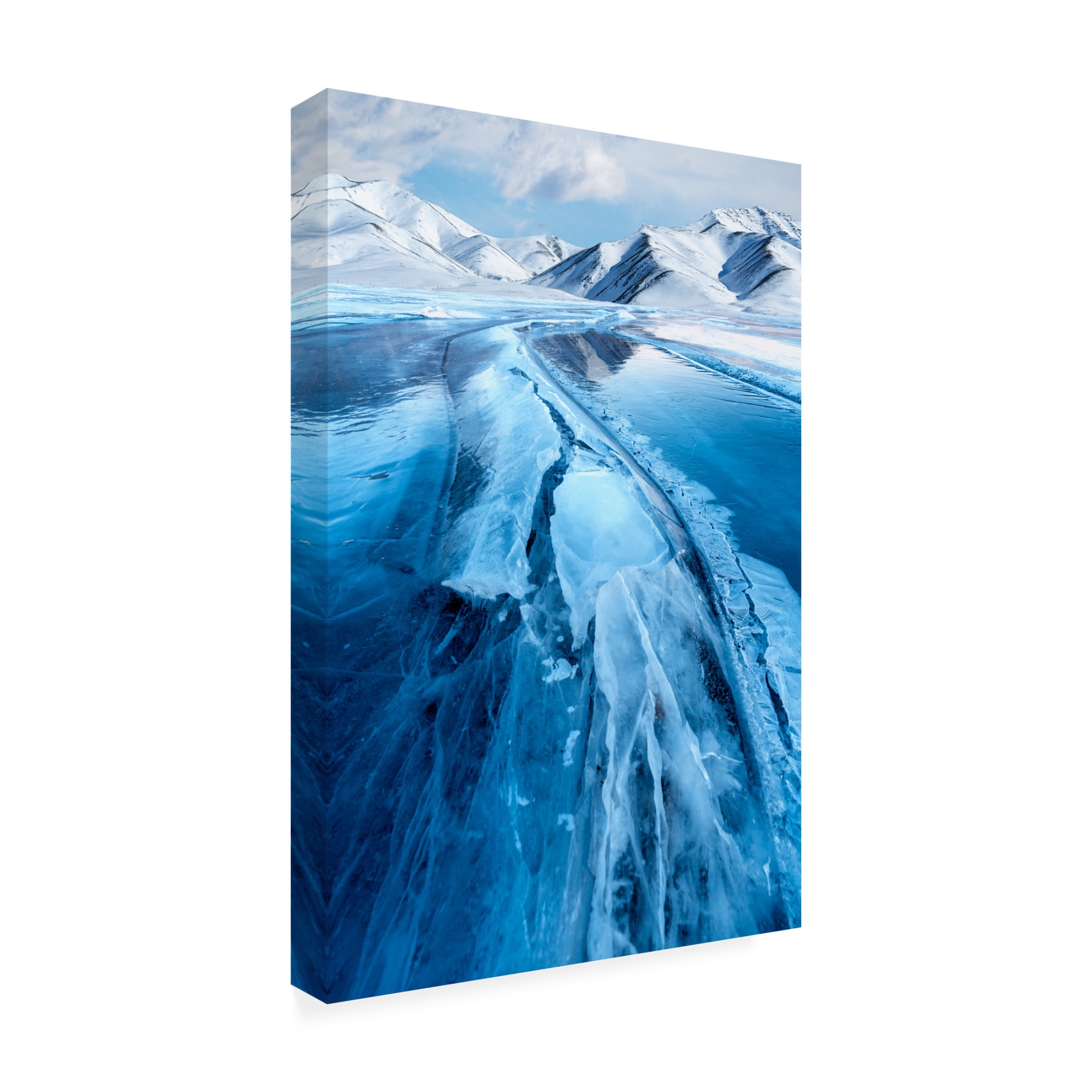Trademark Fine Art SPIDER Blue Ice Canvas Wall Art