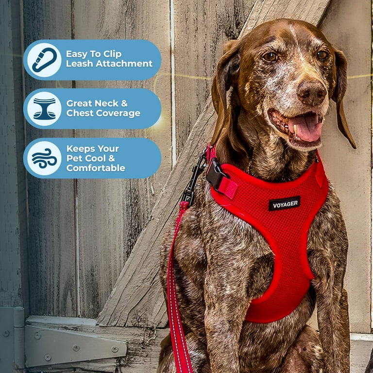 Voyager Step In Lock Pet Harness All Weather Mesh Adjustable Step In Harness for Cats and Dogs by Best Pet Supplies Red L Walmart