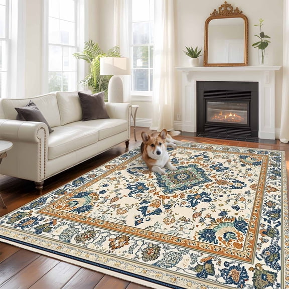 6'x9' Area Rugs, Boho Chic Indoor Outdoor Area Rug for Living Room Bedroom, Traditional Classic Geometric Farmhouse Washable Bathroom Rugs Kitchen Floor Carpet Mats Home Decor Aesthetic