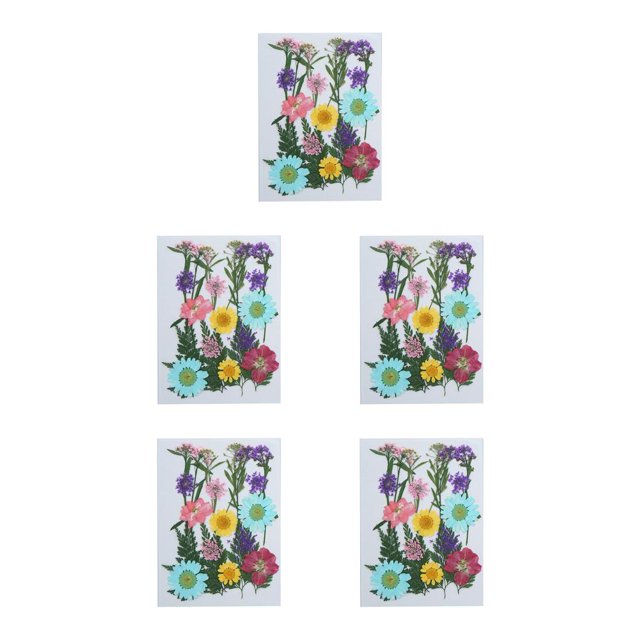 Kearding Flores secas naturales, flores en relieve, plantas artísticas, belleza seca, joyería Floral, regalos para tarjetas de boda, velas de resina, Type2 NO2 Kearding CBP183888