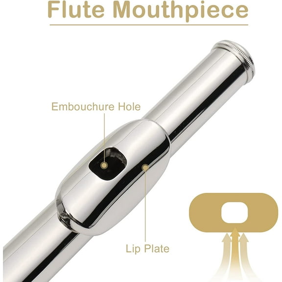 C Flutes with E-split, 16 Keys Nickel Flute Kit for Beginners & Pros, Silver