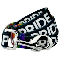 Country Brook Petz - Pride Dog Leash (4 Foot, 5/8 Inch Wide)