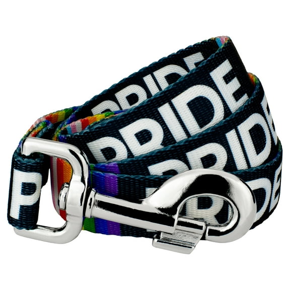 Country Brook Petz - Pride Dog Leash (4 Foot, 5/8 Inch Wide)