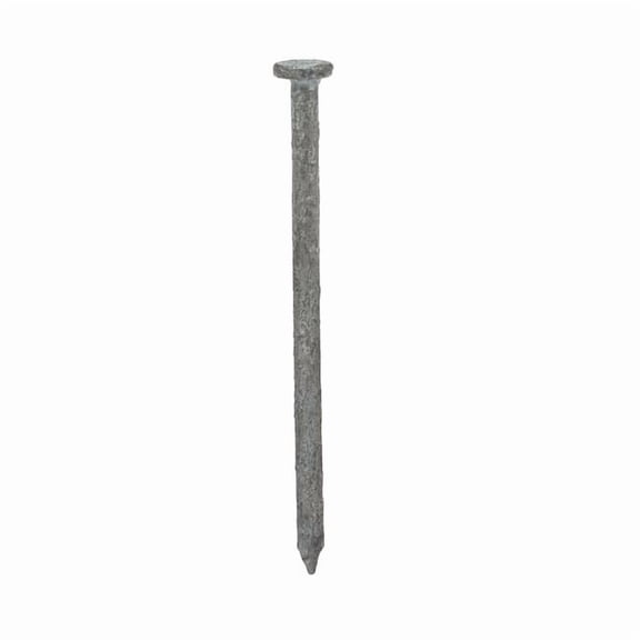 Common Nail, 2-1/2 in L, 8D, Steel, Galvanized Finish, 10.25 ga, 2730 PK