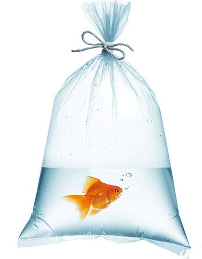 Dropship Aquarium Plastic Fish Bags 10 X 24; Clear Polyethylene