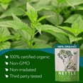 thumbnail image 3 of Zhivana Organics Nettle Tea – Nettle Leaf Organic, Nettle Tea Loose Leaf, Stinging Nettles Loose Leaf Organic, Ortiga Verde Organica - Dried Herbs for Medicinal Use - 8oz, 3 of 9