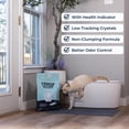 thumbnail image 2 of Arena para gatos Genius Litter con monitoreo de salud 2.7 kg, 3 bolsas, 2 of 9