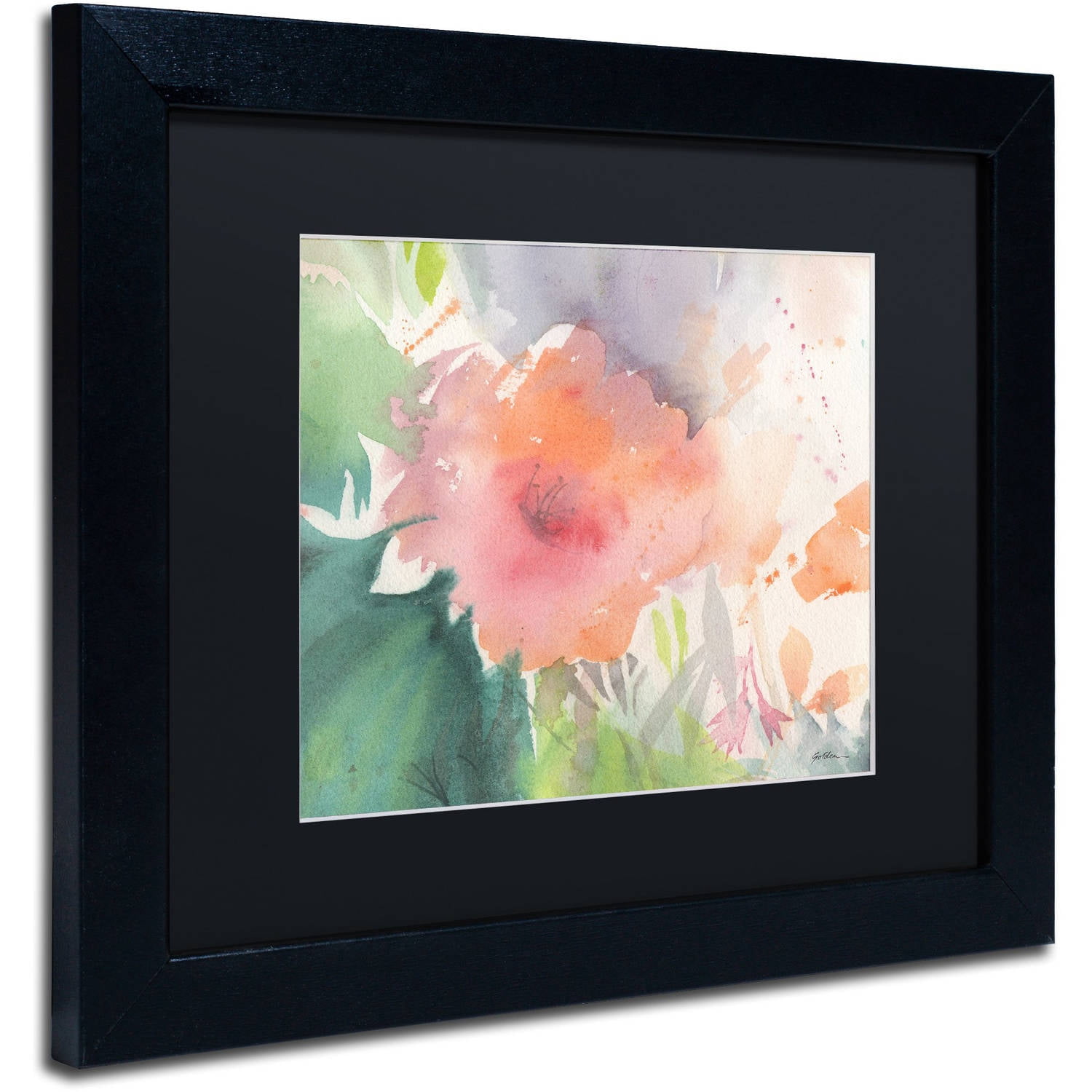 Trademark Fine Art "Coral Blossom" Canvas Art by Sheila Golden, Black Matte, Black Frame