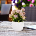 thumbnail image 4 of HAMPPLIES 4Ud Plantas Artificiales En Maceta Decorativas Con Bonsái Para Comedor Y Escritorio, 4 of 7