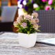 thumbnail image 4 of HAMPPLIES 4Ud Plantas Artificiales En Maceta Decorativas Con Bonsái Para Comedor Y Escritorio, 4 of 7