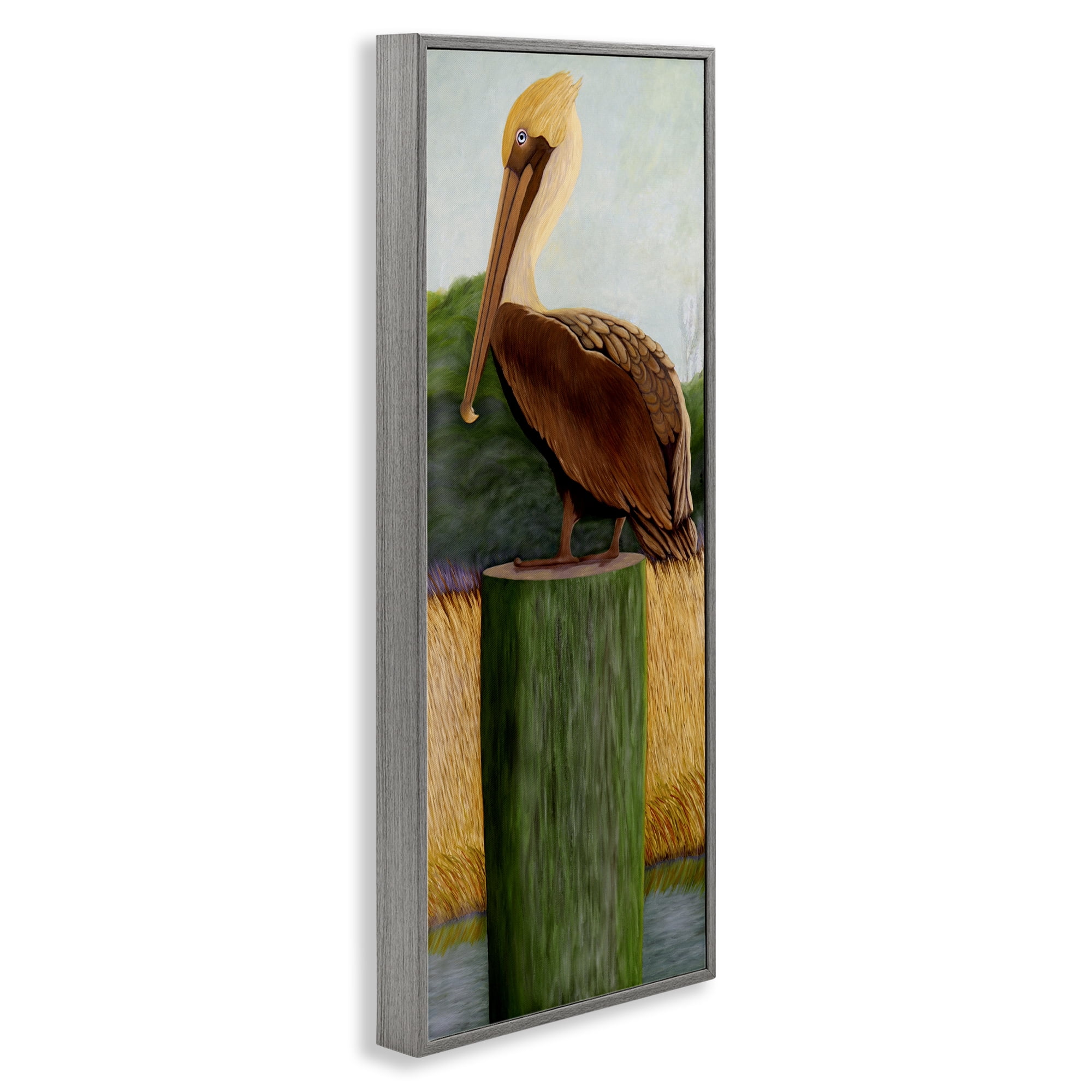 Stupell Industries Blue Eyed Pelican Gray Framed Giclee Art, design by Barbara Fallenbaum