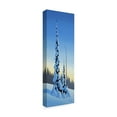 thumbnail image 2 of Trademark Fine Art 'Winter Spruce' Canvas Art by Ron Parker, 2 of 3