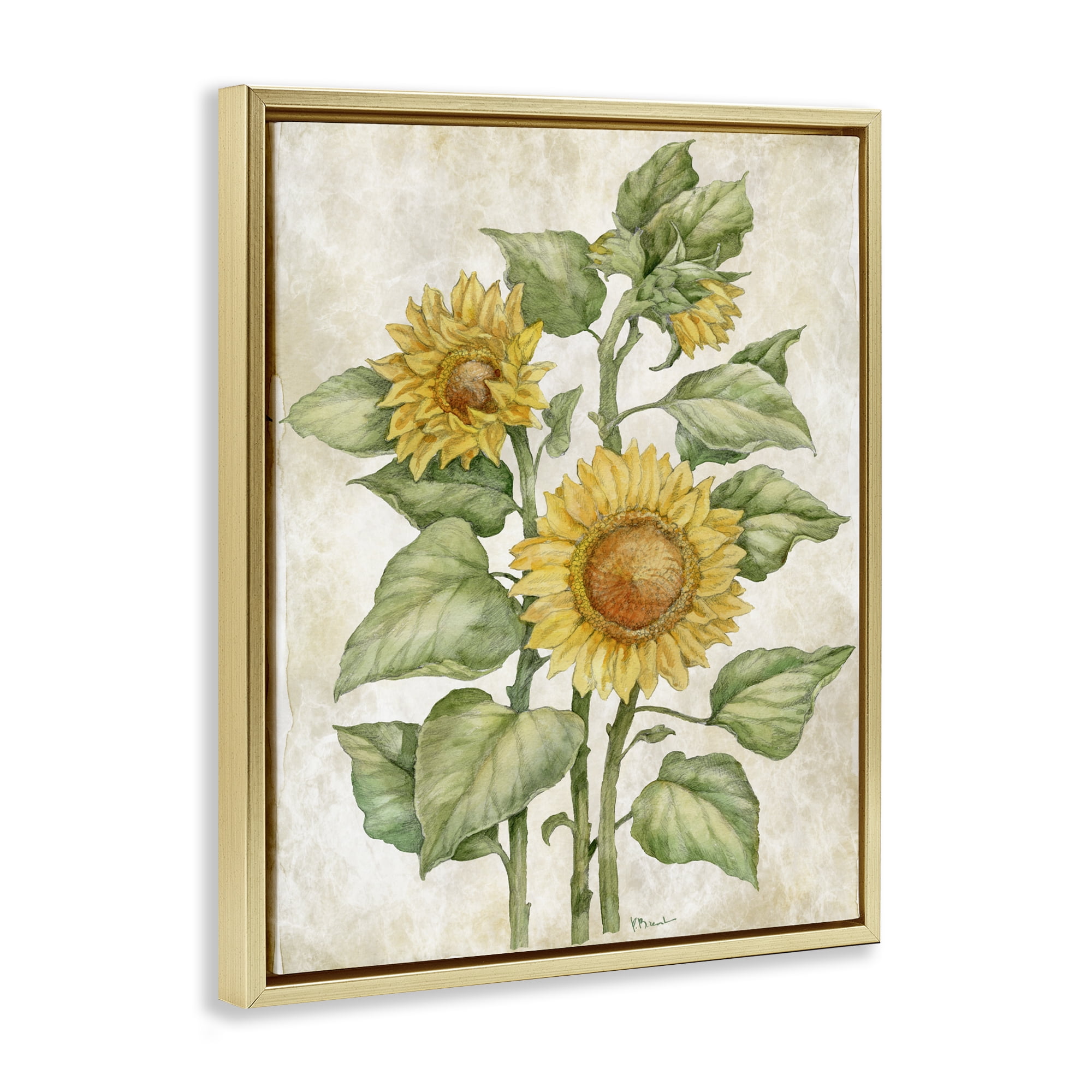 Stupell Industries Floral Journal Sunflower Gold Framed Floater Canvas Wall Art, design by Paul Brent