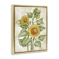 thumbnail image 2 of Stupell Industries Cottage Floral Journal Sunflower Gold Floating Frame Canvas Art, 25 x 31, by Paul Brent, 2 of 8