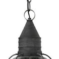 thumbnail image 4 of Hinkley Lighting - One Light Hanging Lantern - Cape Cod - 1 Light Medium Outdoor, 4 of 6