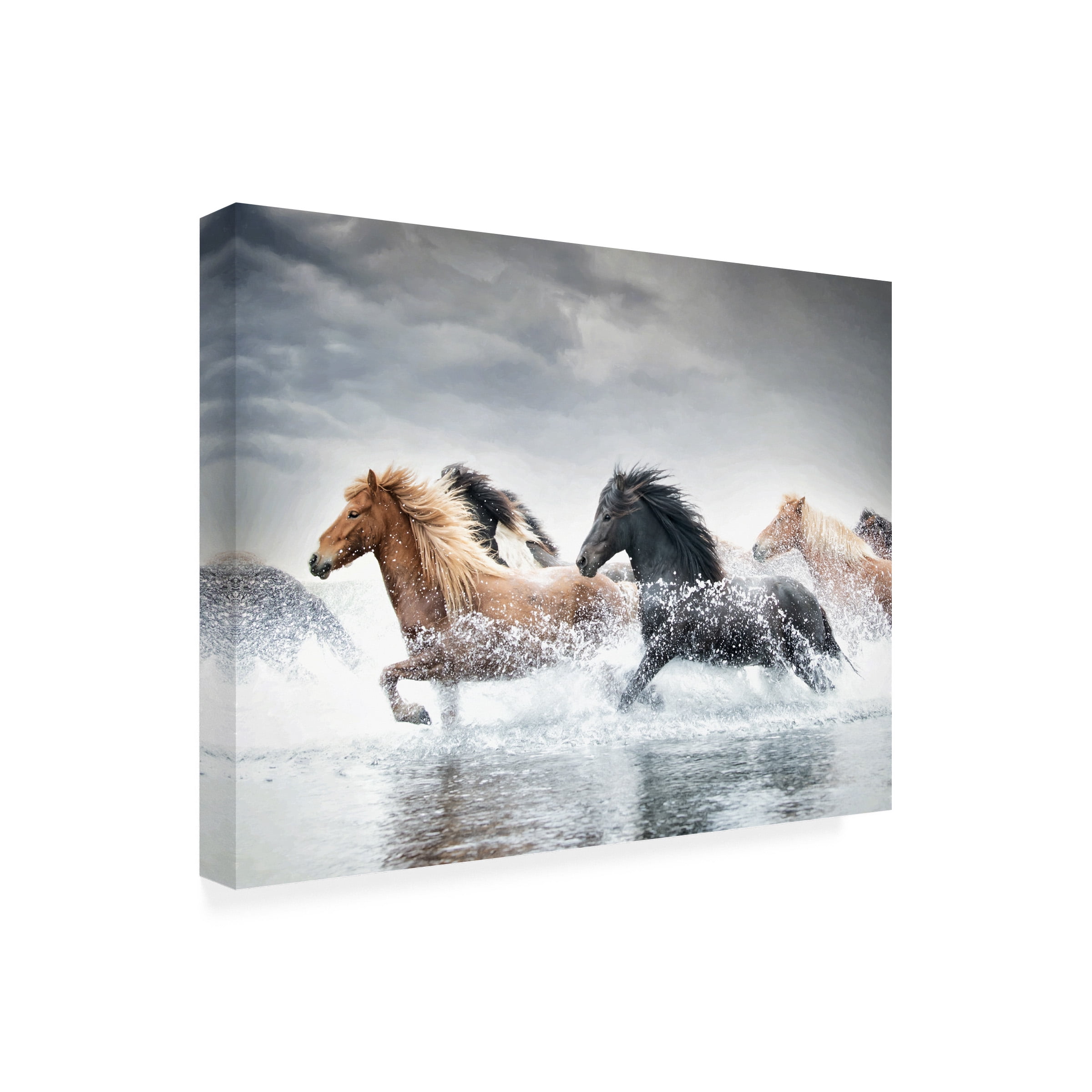 PHBurchett 'Horse Run V' Canvas Art